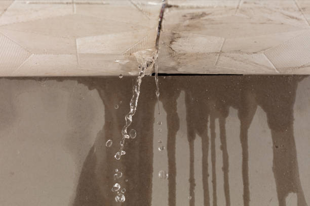 Professional Burst Pipe Cleanup technician working in Reevesville, SC